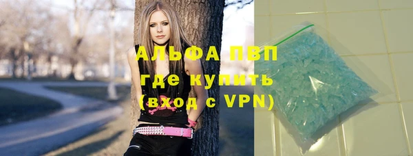 гидра Алексин