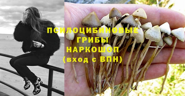 марки lsd Алексеевка