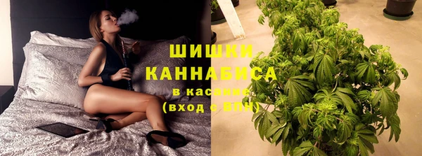 гидра Алексин