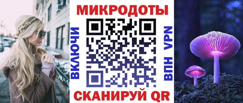 Галлюциногенные грибы Psilocybine cubensis  площадка клад  Петровск-Забайкальский 